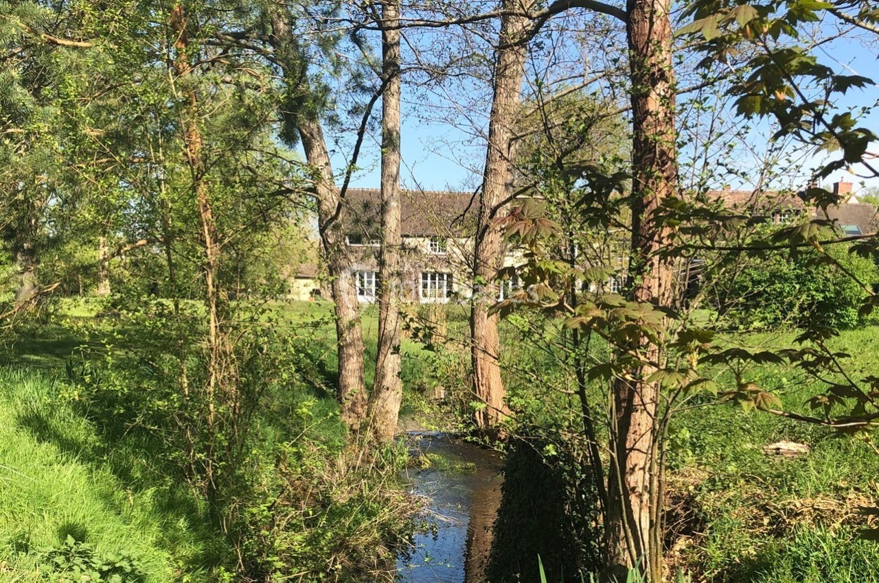Petit ruisseau traversant un espace verdoyant avec des arbres, une pelouse et un bâtiment en arrière-plan.