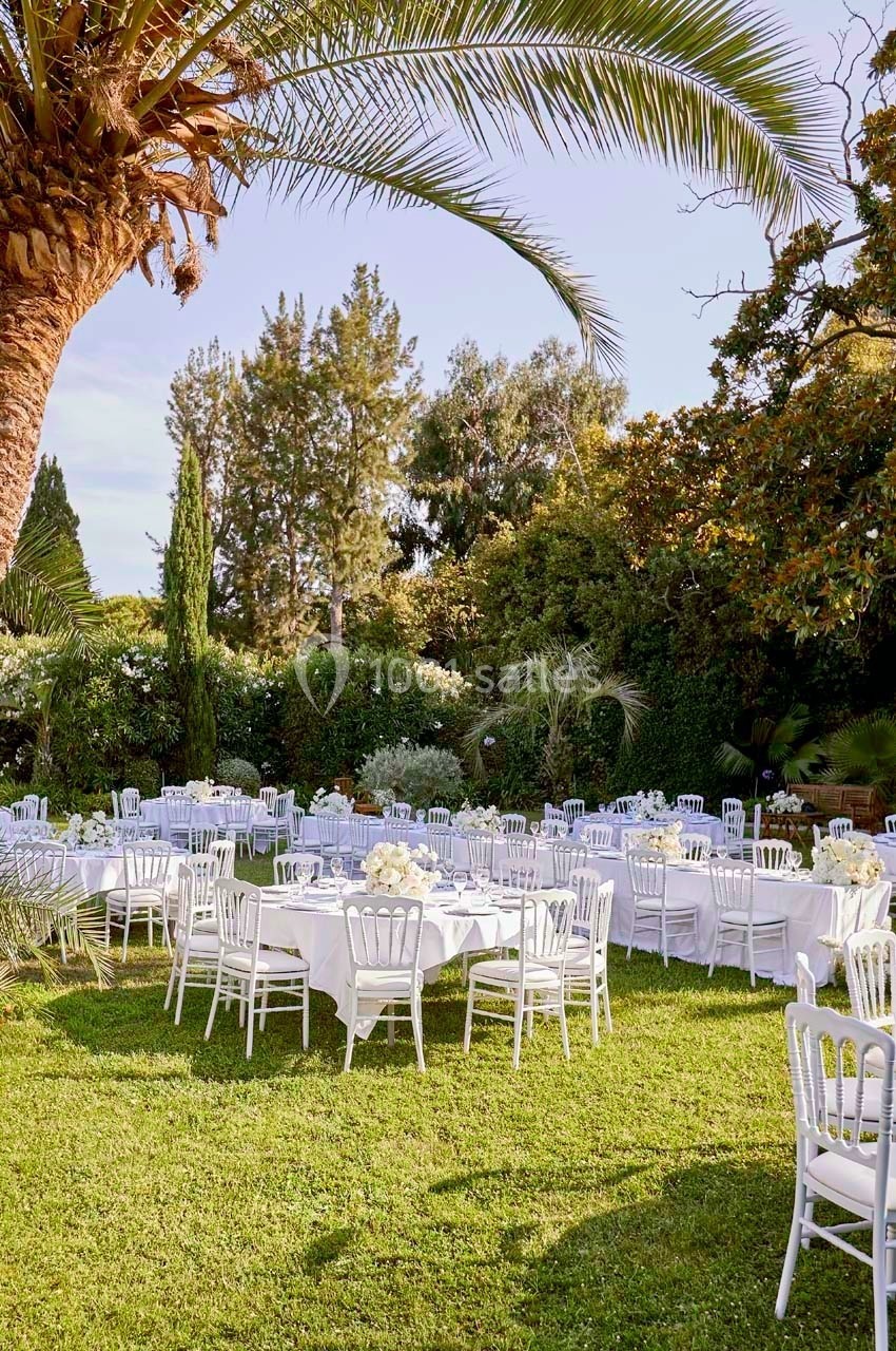 Tables rondes dressées avec nappes blanches et chaises blanches dans un jardin verdoyant sous des palmiers.