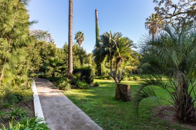 Deux fauteuils en rotin et une table basse avec une tasse, sur une terrasse donnant sur un jardin verdoyant.