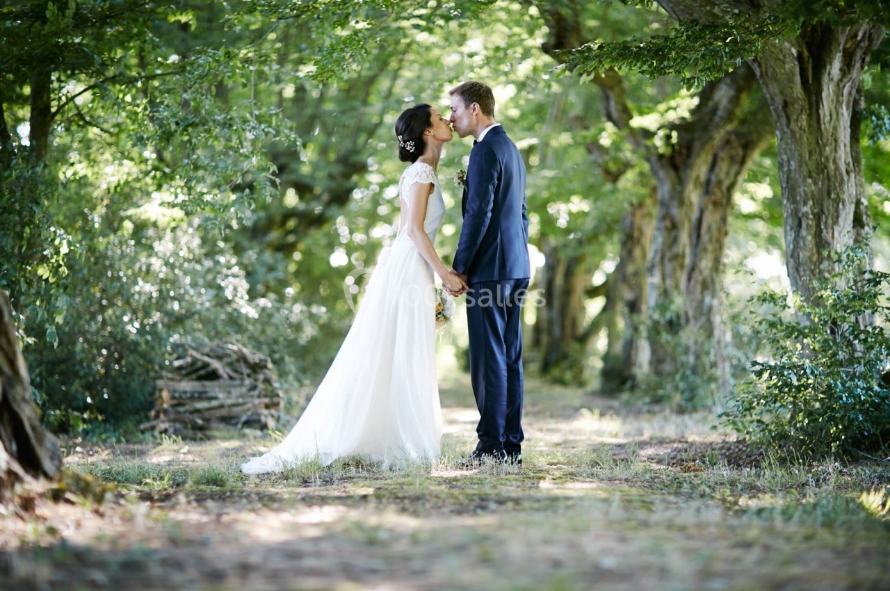 Un couple en tenue de mariage se tient la main dans une allée bordée d'arbres, baignée de lumière naturelle.