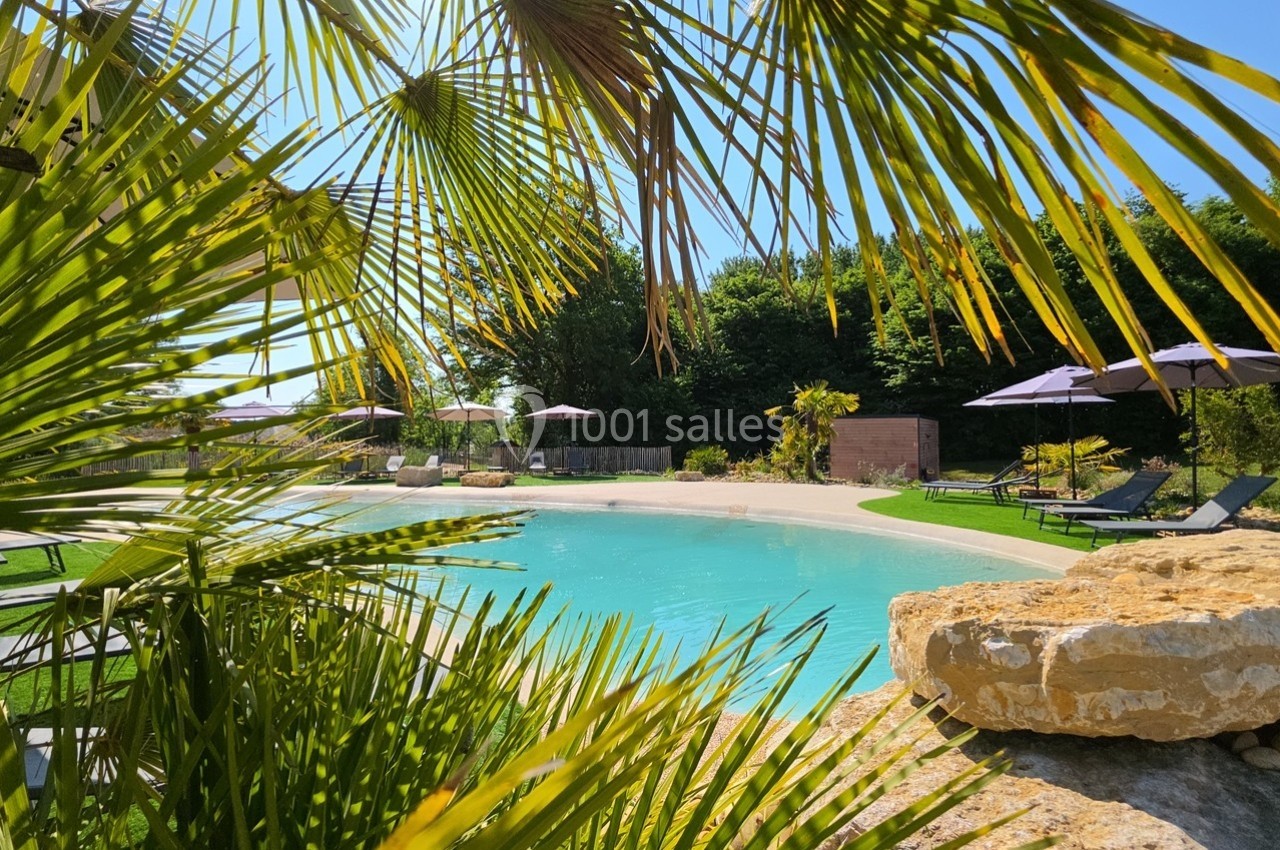 Piscine extérieure entourée de palmiers et de transats, avec un ciel dégagé et un jardin en arrière-plan.