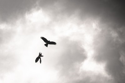 Femme assise dans une lumière tamisée, entourée de verres, regardant vers l'objectif.