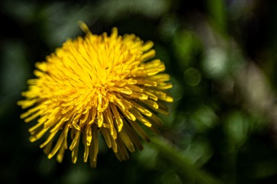 Femme assise dans une lumière tamisée, entourée de verres, regardant vers l'objectif.