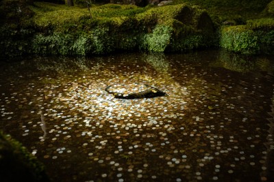 Rk Lugh - photo 3