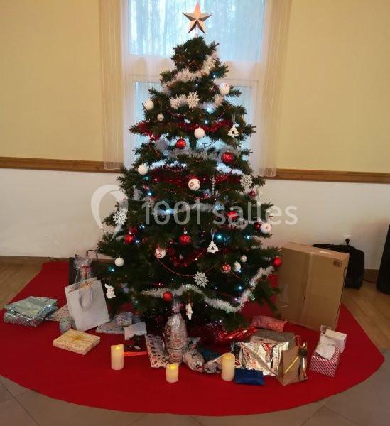 Ourcadia Chateau De Bellevue - galerie - photo 9