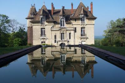 Ourcadia Chateau De Bellevue - photo 5