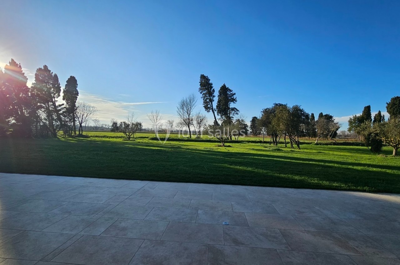 Vue d'un jardin verdoyant avec des arbres sous un ciel bleu, capturée depuis une terrasse ensoleillée.