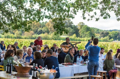 Un groupe de personnes explore une boîte ouverte au milieu de vignes ensoleillées.