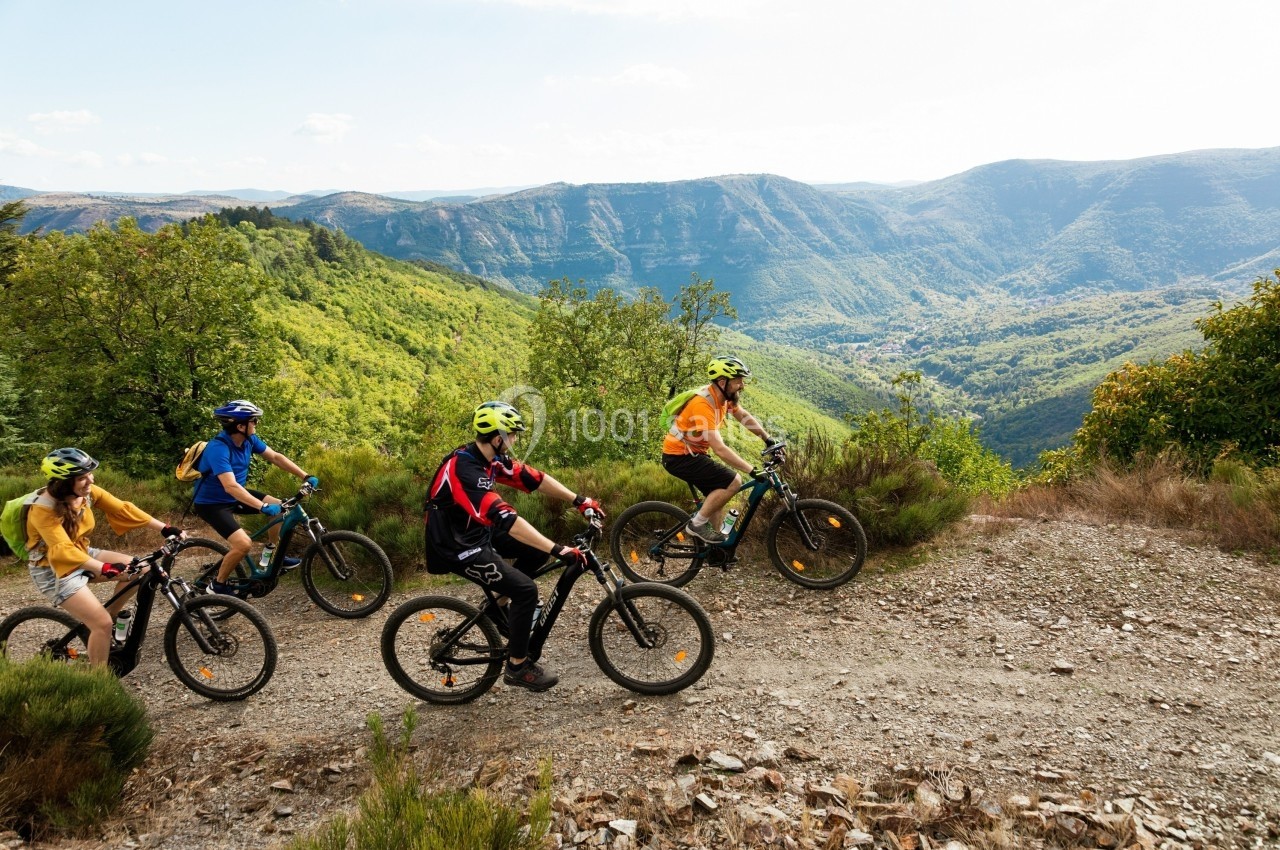 Quatre cyclistes en VTT sur un sentier de montagne entouré de végétation avec une vue sur une vallée boisée.