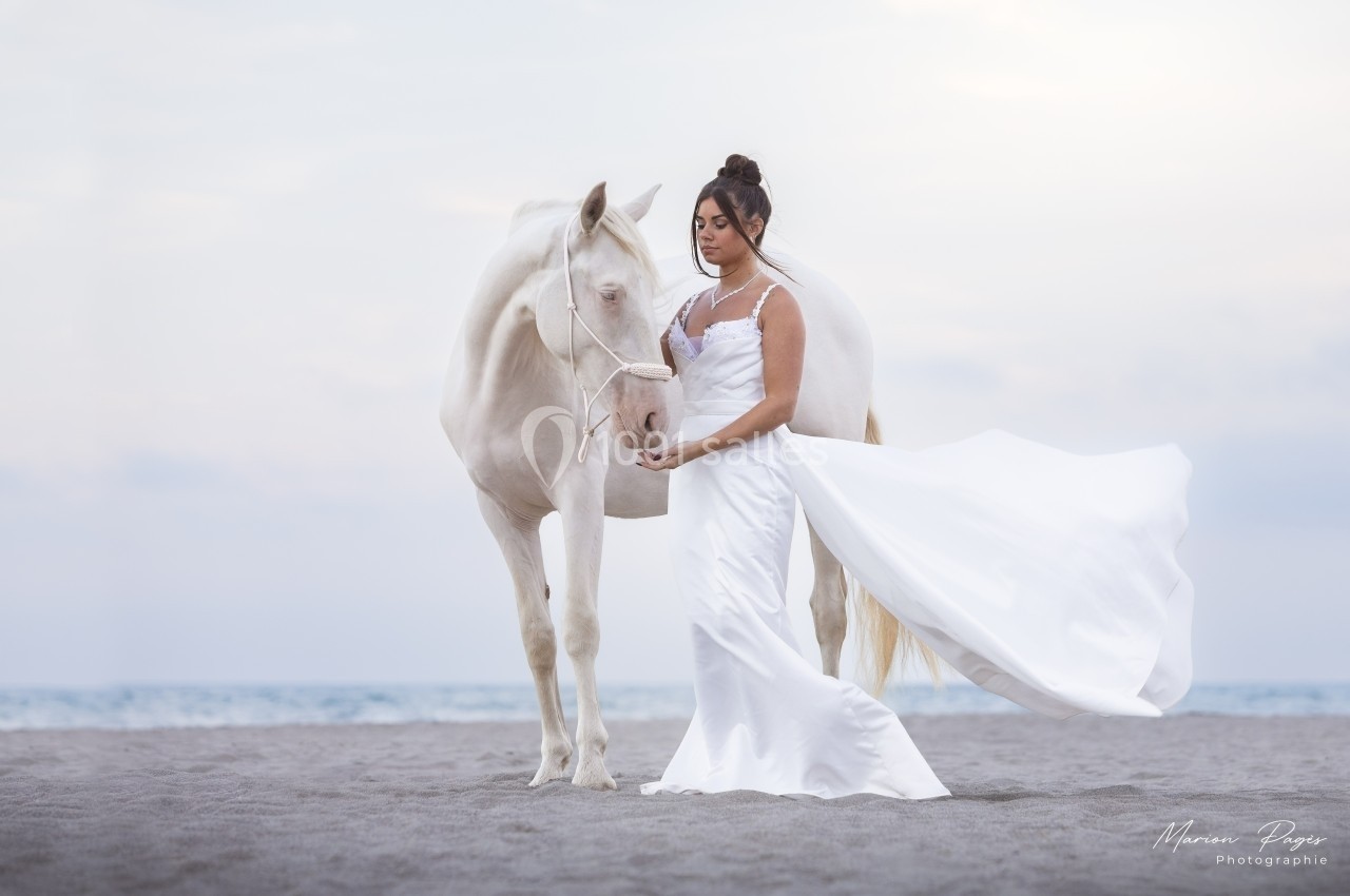 Une femme en robe blanche tient un cheval blanc sur une plage, avec la mer en arrière-plan.