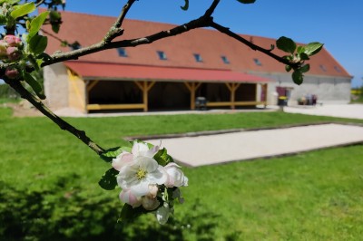Le Domaine du Château Oublié - photo 1