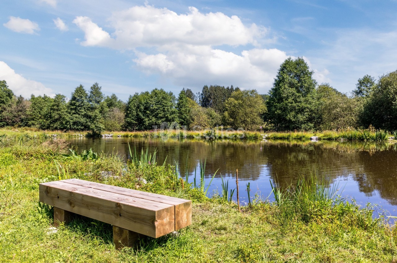 Banc en bois massif posé sur l'herbe au bord d'un étang calme, entouré d'arbres et de végétation sous un ciel partiellement nuageux.