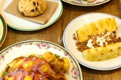 Miniature Traiteur Troyes (Aube) - Montagu #32 Assiette de magret de canard tranché sur purée de patates douces, garni de persil et accompagné d'une sauce.