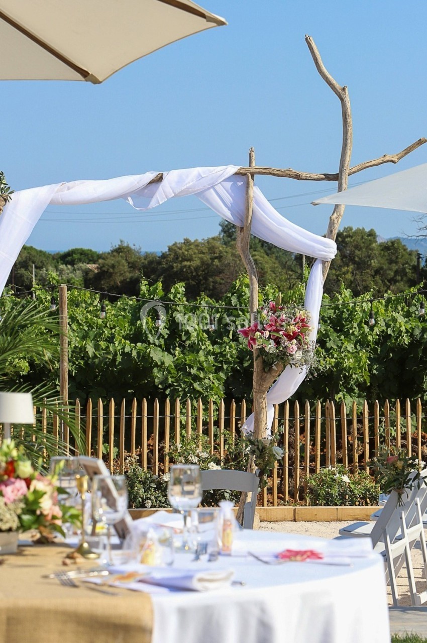 Arche de mariage en bois décorée de tissu blanc et de fleurs, installée en extérieur près de vignes.