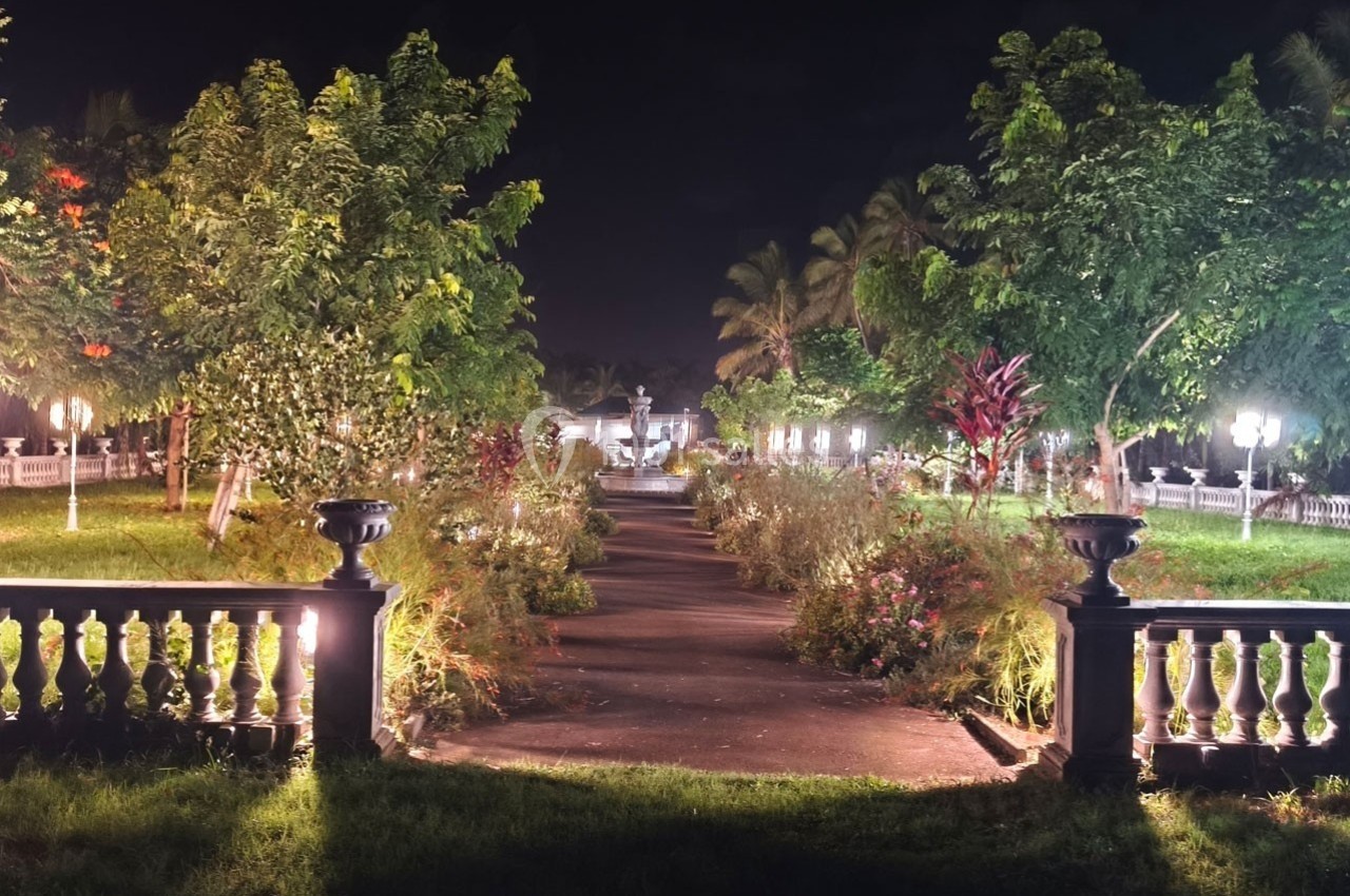 Allée éclairée bordée de végétation luxuriante et de lampadaires dans un jardin nocturne.
