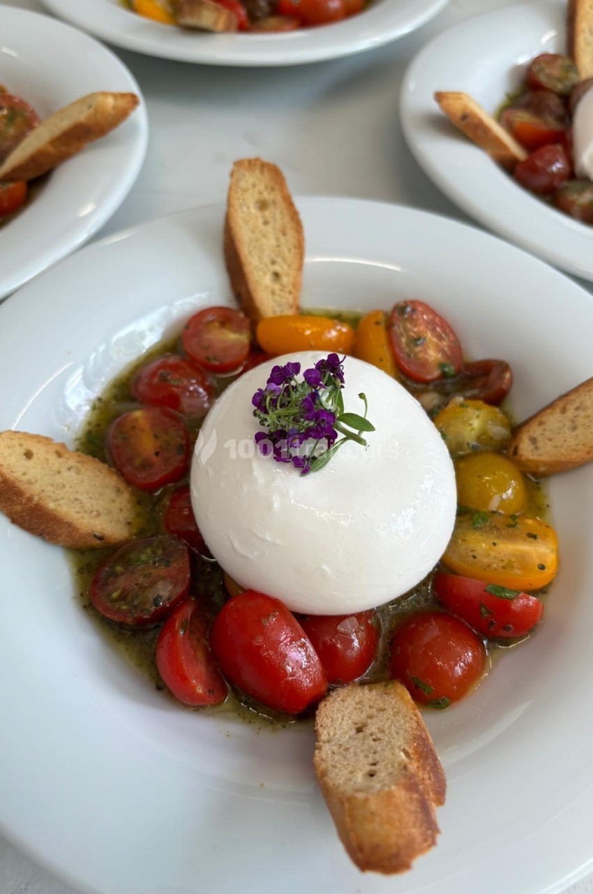 Assiette de burrata entourée de tomates cerises colorées, croûtons et garnie de fleurs comestibles.