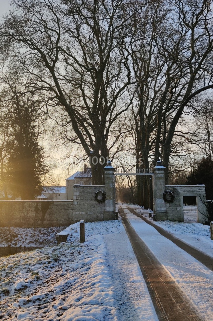 Allée enneigée menant à un portail en pierre, entourée d'arbres dénudés sous une lumière hivernale douce.