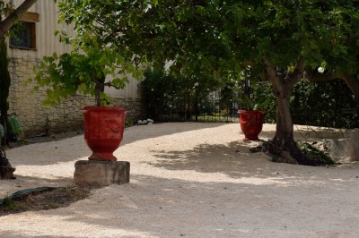 Domaine Mas de Mare - photo 4