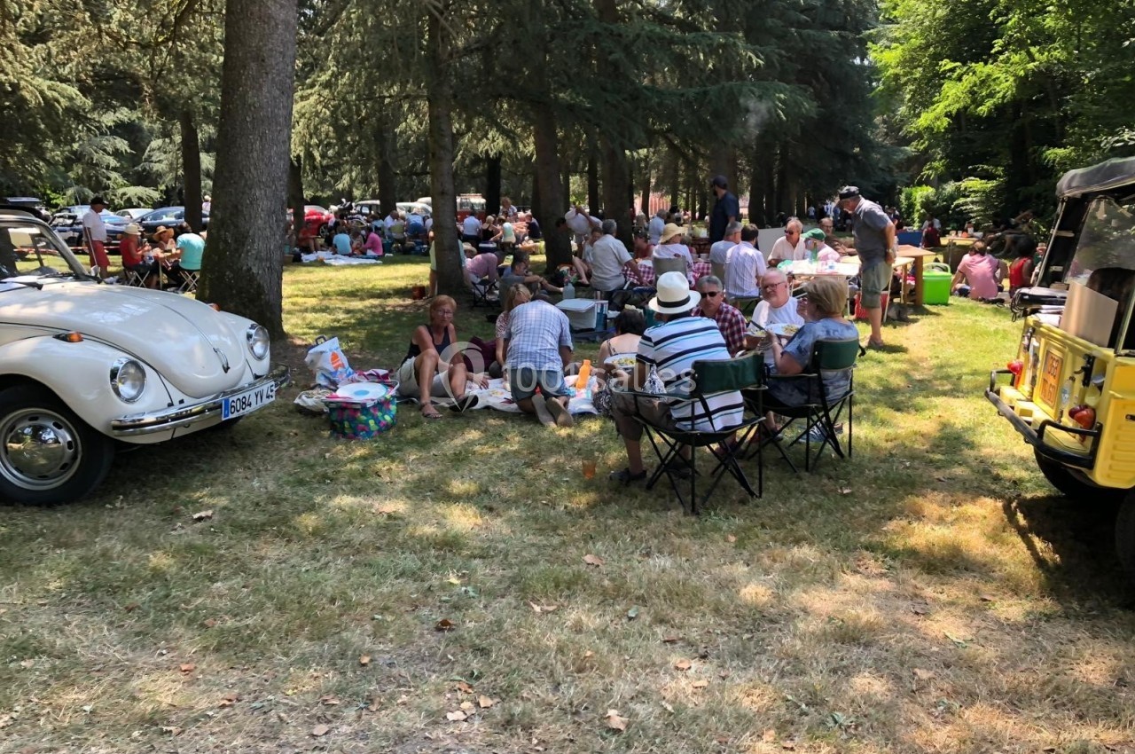 Groupe de personnes pique-niquant sous des arbres dans un parc, entouré de voitures anciennes.
