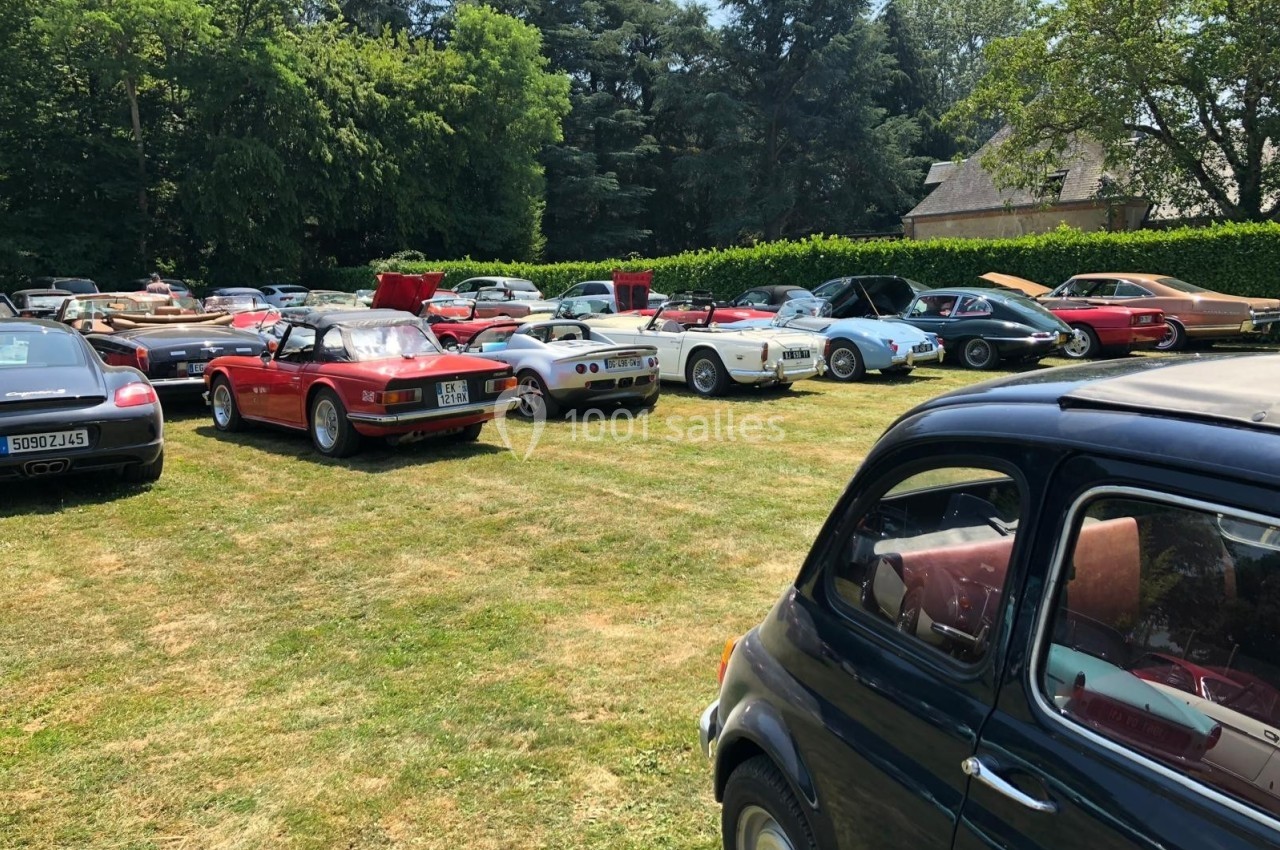 Rassemblement de voitures anciennes et de collection stationnées sur une pelouse, entourées d'arbres et de verdure.
