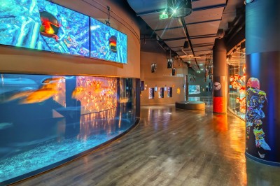 Les Salons de L'aquarium de Paris - photo 1