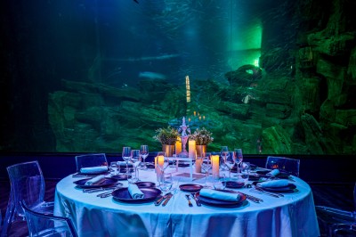 Les Salons de L'aquarium de Paris - photo 5
