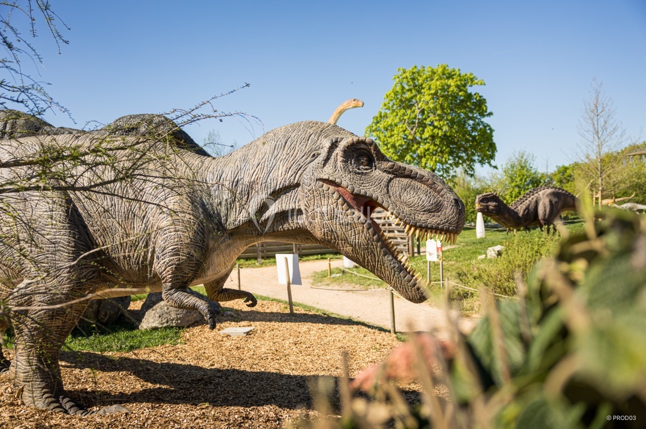 Location salle Gannat (Allier) - Paléopolis #17 Statues de dinosaures réalistes dans un parc extérieur, entourées de végétation et sous un ciel bleu.