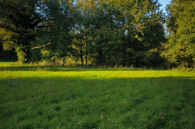 Le Moulin d'Elisabeth - photo 5
