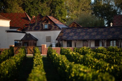 Chateau de la Grange Arthuis - photo 5