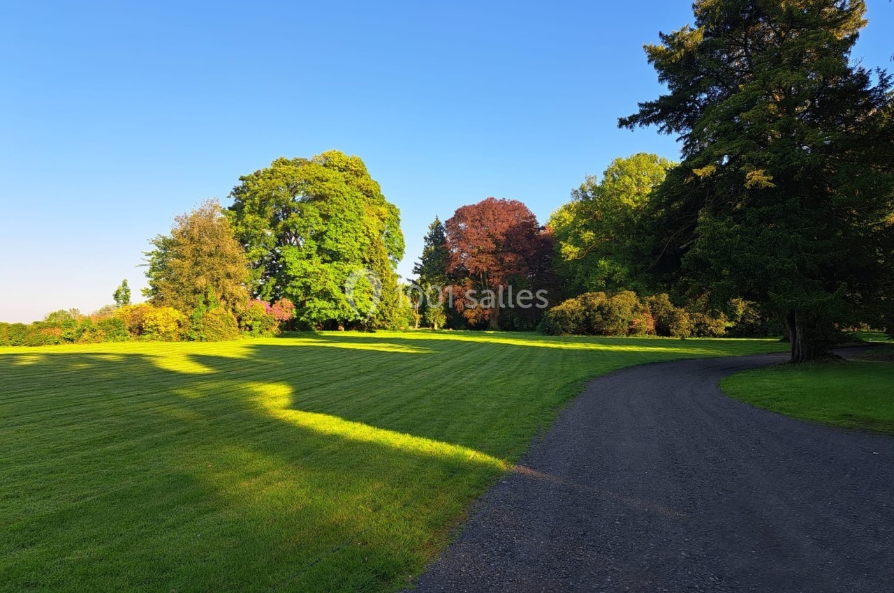 Allée sinueuse bordée de pelouse verte et d'arbres variés sous un ciel bleu clair.