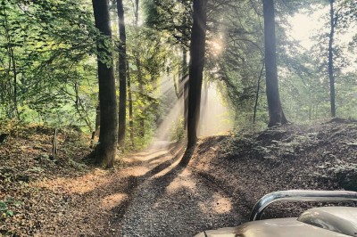 Location salle Kluisbergen (Flandre orientale) - Domaine Château de Calmont #16