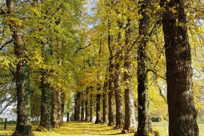 Location salle Kluisbergen (Flandre orientale) - Domaine Château de Calmont #16