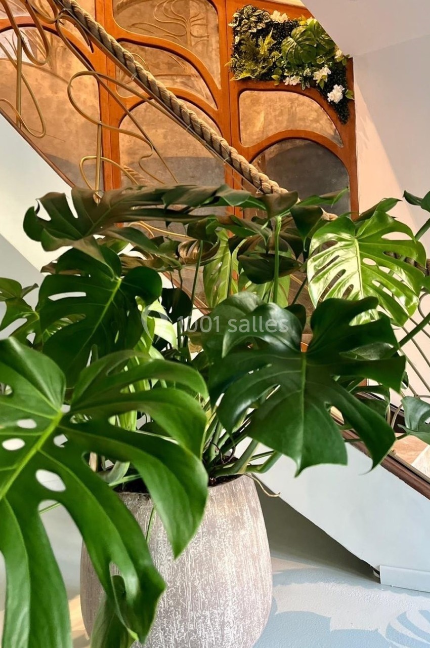 Plante verte dans un pot en céramique devant un escalier en bois avec une rambarde ornée et un mur végétal.