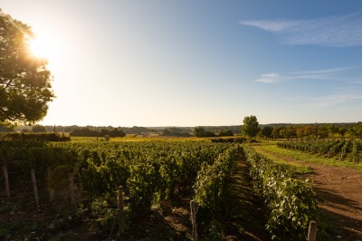 Chateau de la Grange Arthuis - photo 3