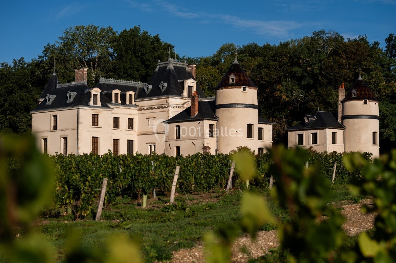 Château entouré de vignes verdoyantes, avec une forêt en arrière-plan sous un ciel bleu clair.