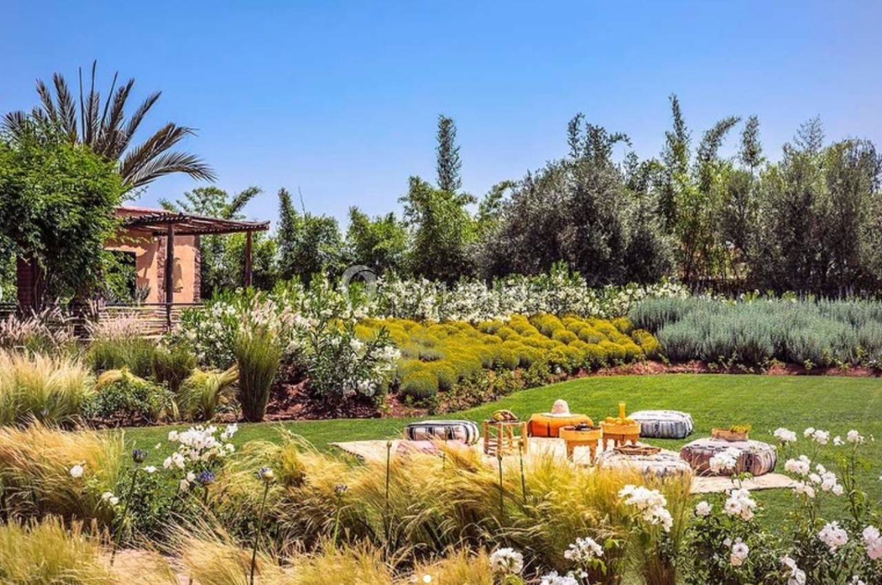 Jardin verdoyant avec pelouse, fleurs blanches, arbustes, et coin salon extérieur coloré sous un ciel bleu clair.