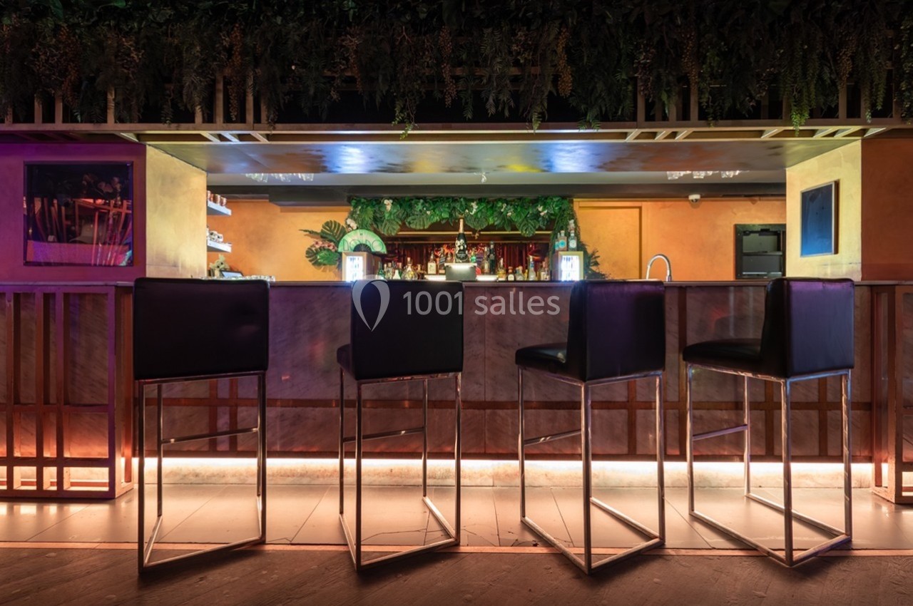 Bar moderne avec comptoir éclairé, tabourets hauts noirs et décoration végétale suspendue en arrière-plan.