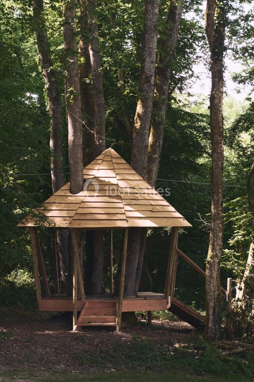Cabane en bois construite autour de plusieurs arbres dans une forêt verdoyante.