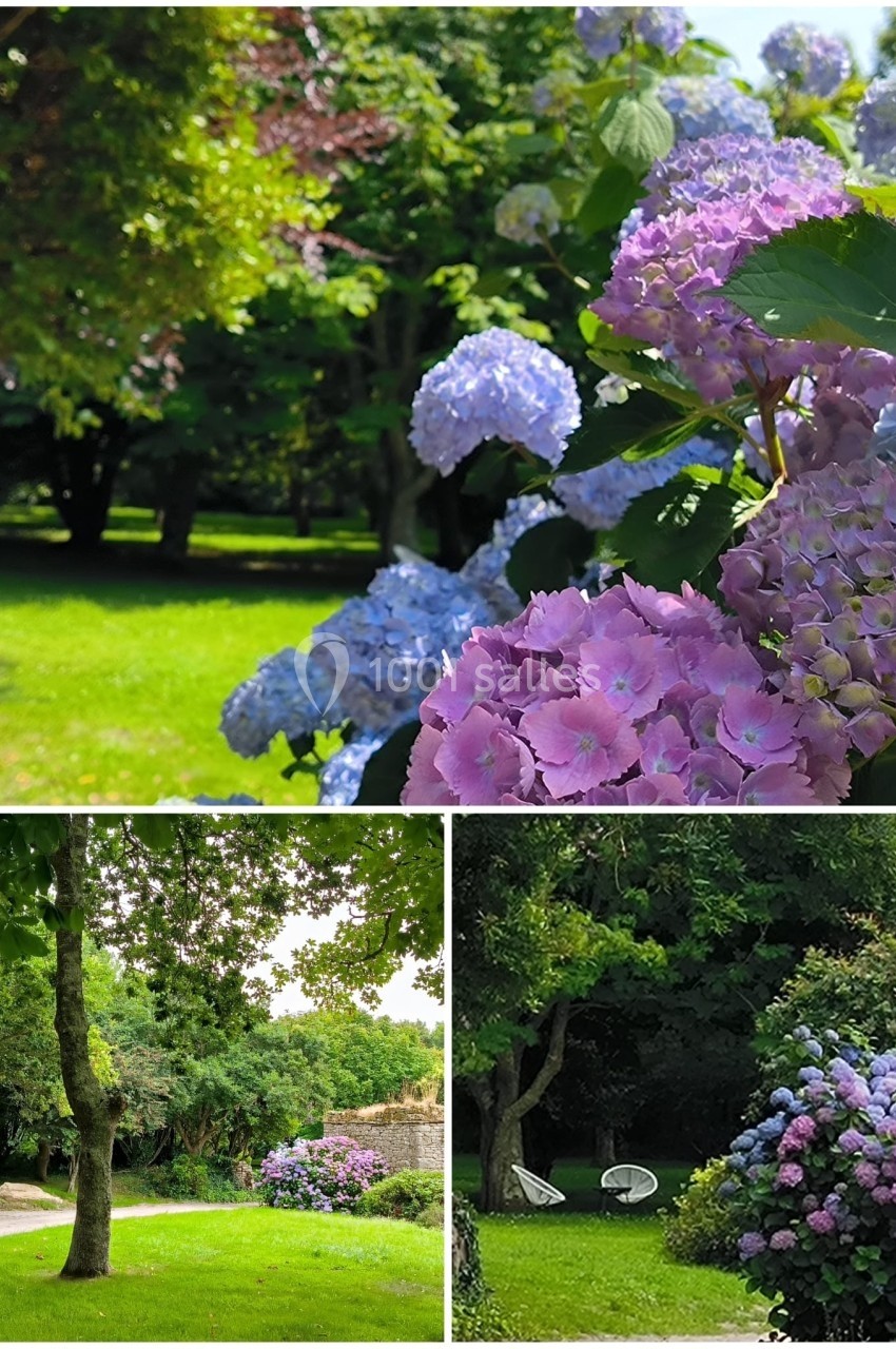 Massifs d'hortensias roses et bleus dans un jardin verdoyant, entourés d'arbres et de pelouses ensoleillées.