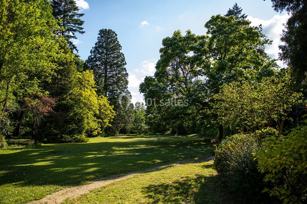Pelouse ensoleillée entourée d'arbres et de buissons dans un parc, sous un ciel bleu avec quelques nuages.