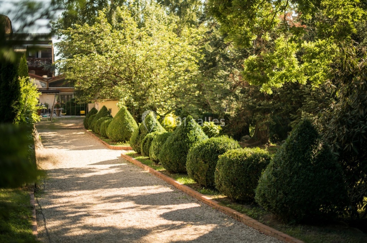 Allée gravillonnée bordée de buissons taillés et d'arbres, menant à une maison partiellement visible en arrière-plan.