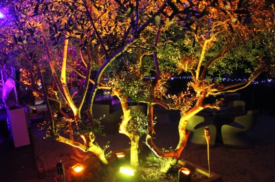 Miniature DJ Toulouse (Haute-Garonne) - Pmn Event #4 Personnes dansant et discutant lors d'une soirée en extérieur, éclairée par des lumières colorées et décorée de guirlandes.