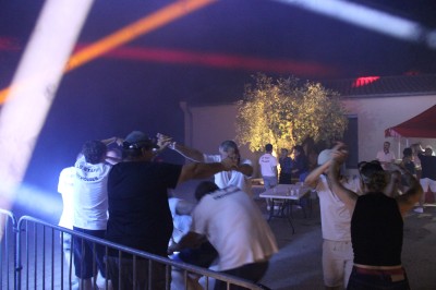 Miniature DJ Toulouse (Haute-Garonne) - Pmn Event #30 Personnes dansant et discutant lors d'une soirée en extérieur, éclairée par des lumières colorées et décorée de guirlandes.