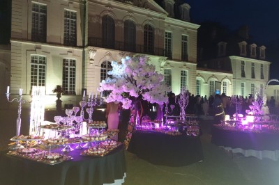 Château des Ormes - photo 3