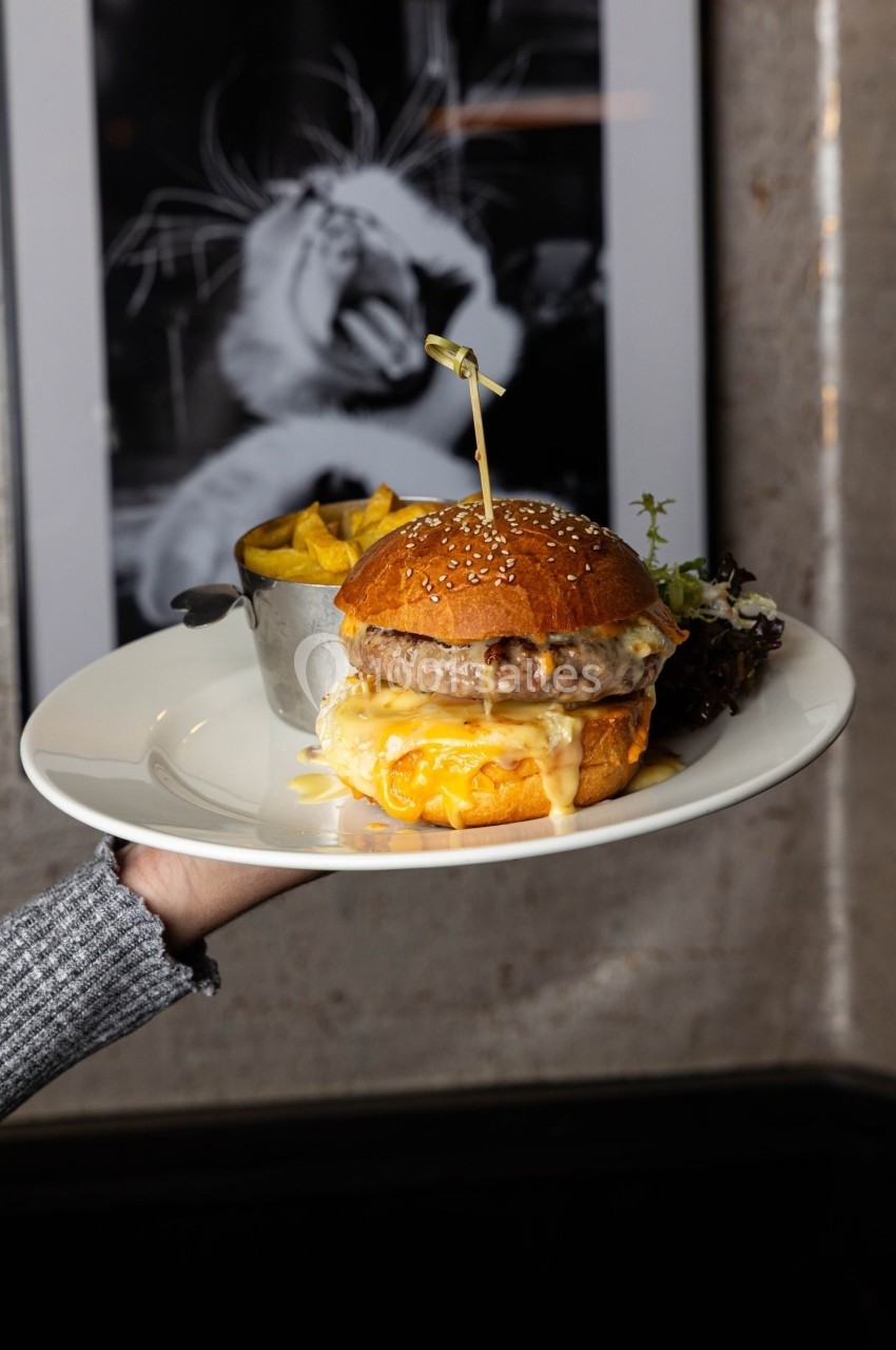 Assiette avec un burger au fromage fondu, servi avec des frites dans un récipient en métal et une petite salade verte.