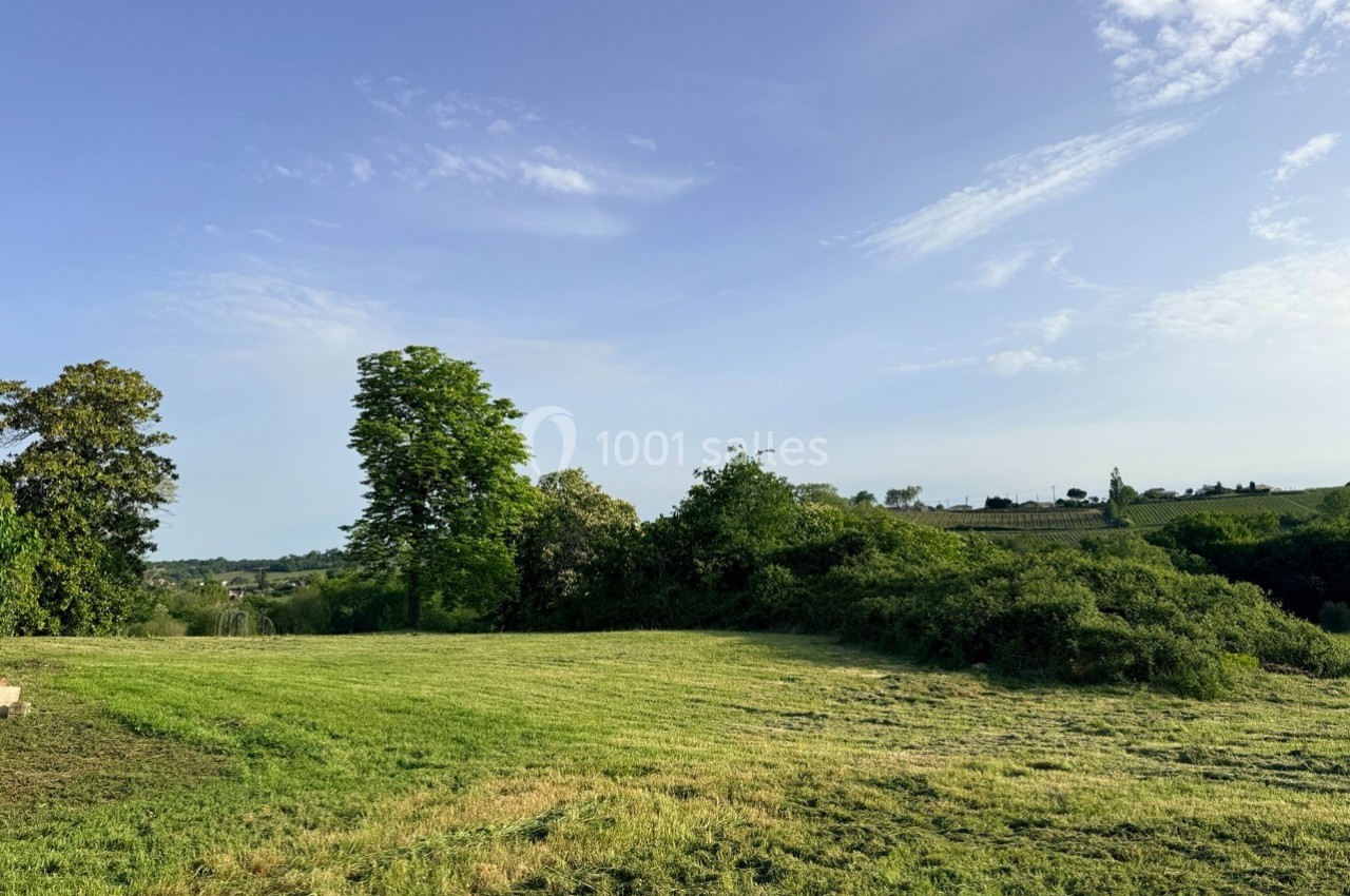 Prairie verdoyante avec quelques arbres et buissons sous un ciel bleu dégagé.