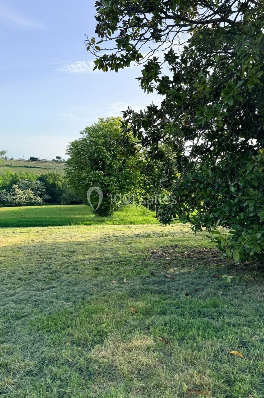Pelouse verdoyante bordée d'arbres sous un ciel bleu clair, avec une haie en arrière-plan.