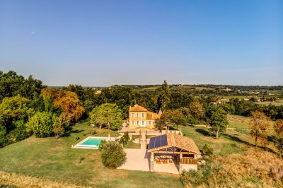 Pelouse verdoyante bordée d'arbres sous un ciel bleu clair, avec une haie en arrière-plan.