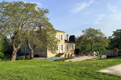 Pelouse verdoyante bordée d'arbres sous un ciel bleu clair, avec une haie en arrière-plan.