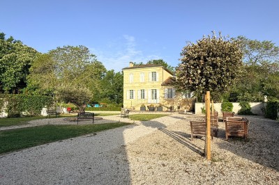 Pelouse verdoyante bordée d'arbres sous un ciel bleu clair, avec une haie en arrière-plan.